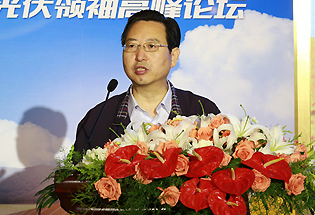 中國電力企業聯合會專職副理事長王志軒演講